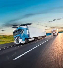 Trasporto di merci su camion in Slovenia e Italia