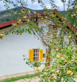 Alloggio Žalec