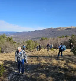 Pohodništvo in izleti v Novem mestu