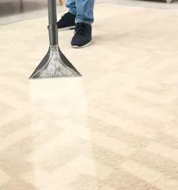 Zanesljiv čistilni servis Zasavje