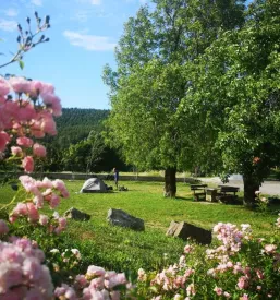 Campsite