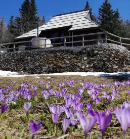Koča na Veliki planini