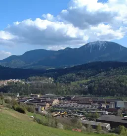 Günstige geschmiedete Walzen Europa