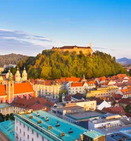 Društvo za zgodovinsko dediščino Ljubljana