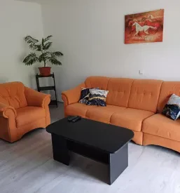 Affordable apartment by the Kolpa River near Kostel