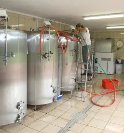 Domača pivovarna Sežana