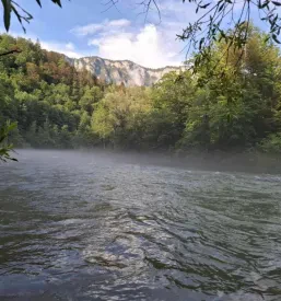 Affordable apartment Kolpa