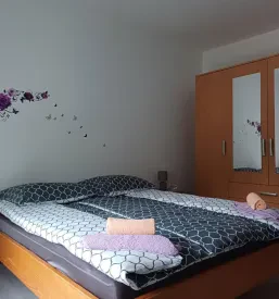 Affordable apartment near Kostel