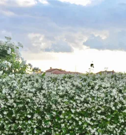 Ugoden apartma Goriška Brda