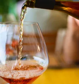 Briško doživetje med vinogradi Dobrovo