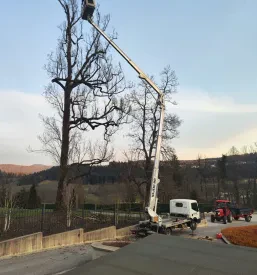 Izposoja delovnih strojev Osrednja Slovenija