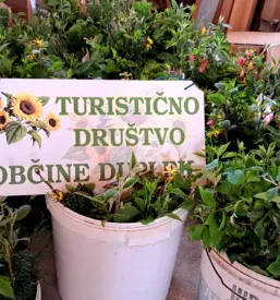 Ocenjevanje urejenosti dvorišč Duplek
