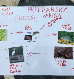 Osnovna šola s prilagojenim programom Ljubljana
