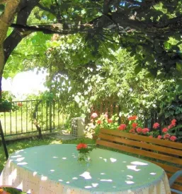 Apartma z vrtom Izola