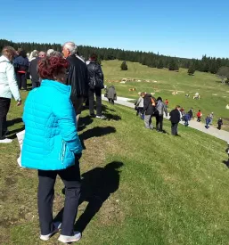 Najboljše društvo upokojencev Pomurje