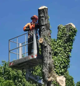 Izposoja delovnih strojev Osrednjeslovenska