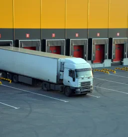 Organizacija mednarodnega transporta za podjetja Ervopa