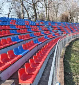 Profesionalni speedway dirkač