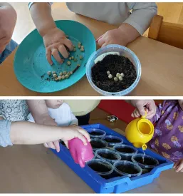 Varstvo predšolskih otrok v Podravju