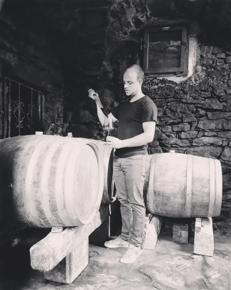 Prijatelji nazdravljajo z vinom Vesela ženska in moški nazdravljata s kozarcema vina na sončen dan, kar kaže na družabno vzdušje in sproščeno druženje.