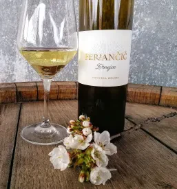 Degustacija vin Vipava