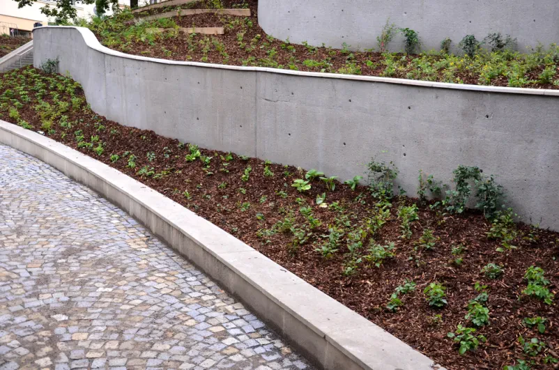 Urejen parkovni predel z betonskimi škarpami v elegantnih lokih, ki preprečujejo erozijo. Vidne so tudi stopnice z jekleno ograjo in cvetlične grede z bujnim trajnicami.