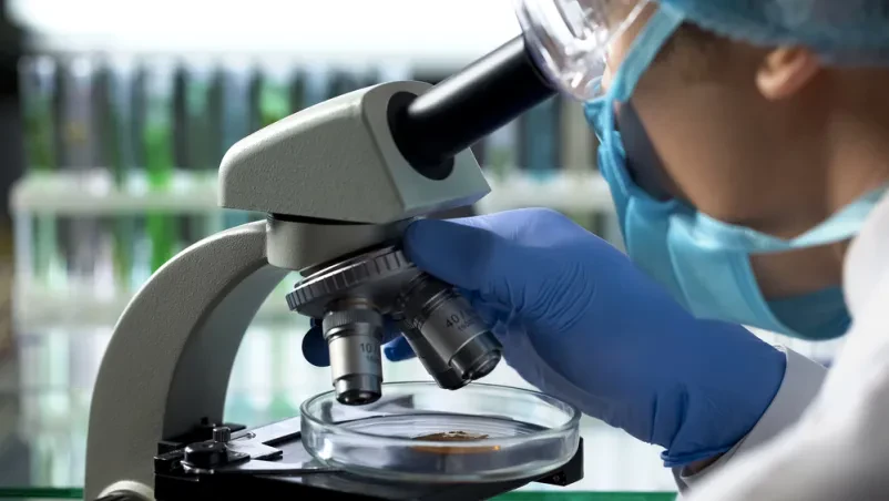 Živilski tehnolog v zaščitni opremi s pipeto jemlje vzorec za podrobno analizo v laboratoriju, kar je del meritev kakovosti medu Gorenjska.