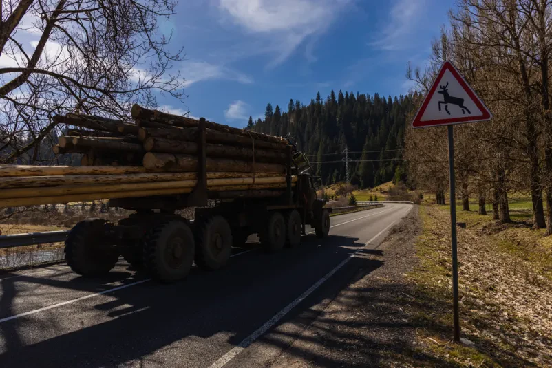 Tovornjak z lesom na gorski cesti Tovornjak z naloženimi lesenimi hlodi se premika po ovinkasti asfaltirani cesti v gorskem okolju. Ob cesti stojijo zelena drevesa in grmovje pod modrim nebom, kar prikazuje prevoz hlodovine.