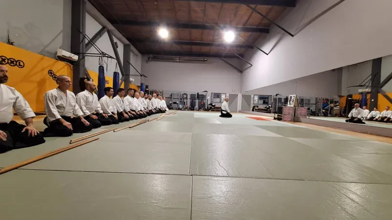 Dva udeleženca aktivno vadita dinamično aikido tehniko z metom v dvorani. Poudarek je na fluidnosti in obvladovanju gibanja.