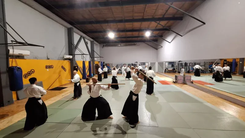 Skupina zbranih udeležencev aikido seminarja pozorno posluša inštruktorja, ki razlaga tehnike. Poudarjen je pomen teoretičnega znanja.