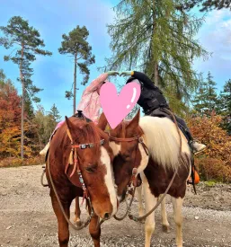 Animacije za otroke in organizacija rojstnih dni Koroška