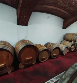 Dostava vrhunskih vin iz kleti po Sloveniji