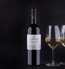 Okušanje vin Goriška Brda
