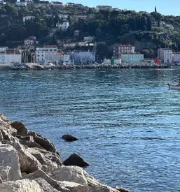 Ribje jedi Piran