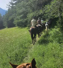 Terensko jahanje Koroška