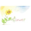 Sunflower, Ana Rogelj s.p.