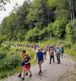Nočitve v planinski koči Idrija
