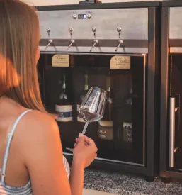 Fontana vina Pomurje