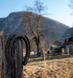 Skupinsko jahanje na terenu Gorenjska
