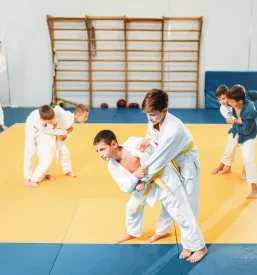 Klub borilnih veščin Ljubljana Jarše