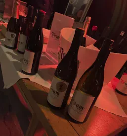 Dostava kvalitetnih vin na dom Slovenija