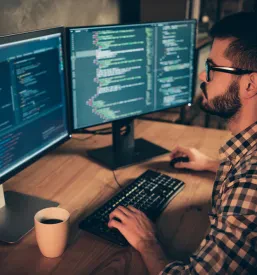 Programiranje spletnih strani Notranjska, Slovenija