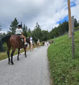 Terenska ježa Koroška