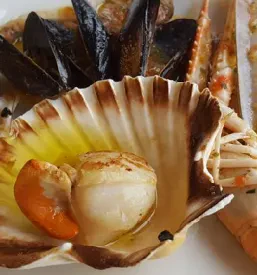 Odlična restavracija Piran