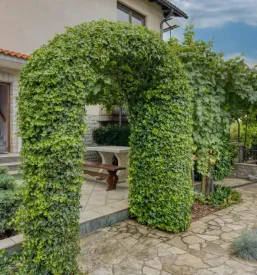 Družinski apartma Primorska