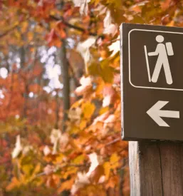 Leseni smerokaz z rdečo puščico 'Go Hiking' kaže pot v barvit jesenski gozd, vabi k raziskovanju narave in pohodništvu v prelepem okolju.