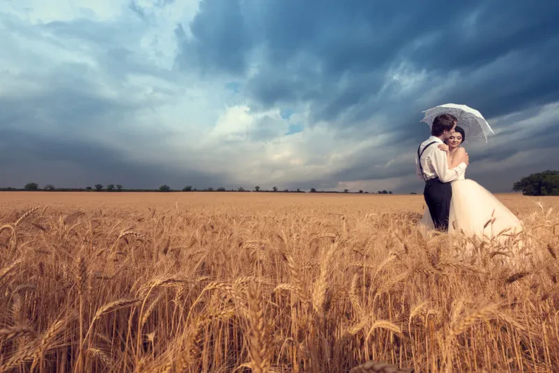 Romantičen poljub mladoporočencev v pšeničnem polju Mladoporočenca se ljubeče poljubljata sredi zlatega pšeničnega polja. Romantična scena, primerna za kakovostno poročno fotografiranje Gorenjska.