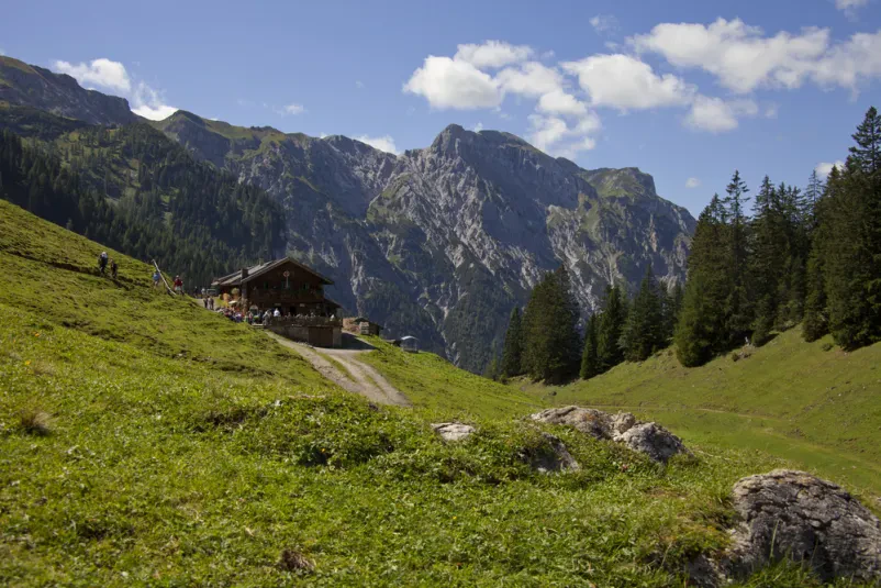 Planinska koča na alpski pašniki Klasična planinska koča na prostranem zelenem alpskem pašniku, obdana z mogočnimi gorami. Popolna za najem hiše za 4 osebe Bovec, okolica, ki želijo raziskovati naravo.