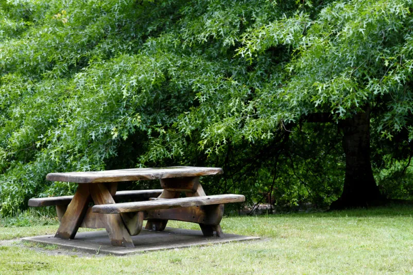 Preprosta lesena piknik miza Robustna lesena piknik miza z dvema pritrjenima klopema, postavljena v zelenem okolju ob vznožju velikega drevesa.