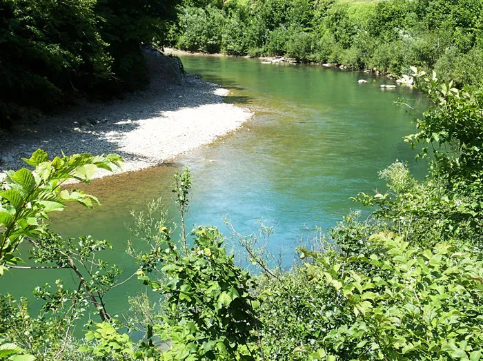 Reka Savinja v objemu narave Kristalno čista reka Savinja teče skozi bujno zeleno pokrajino. Idealna za ribolov in sprostitev v naravi, obisk Savinje.